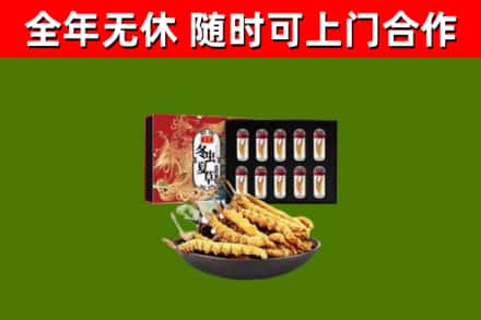 稻城县回收冬虫夏草价格